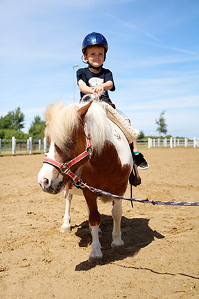 Reiten im Reitercamp | Bild 100