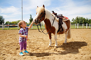 Reiten im Reitercamp | Bild 101