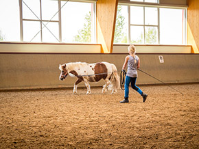 Reiten im Reitercamp | Bild 102