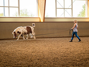Reiten im Reitercamp | Bild 103