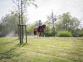 Reiten im Reitercamp | Bild 105