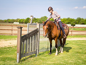 Reiten im Reitercamp | Bild 106