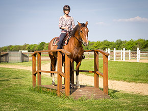 Reiten im Reitercamp | Bild 108