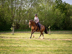Reiten im Reitercamp | Bild 109