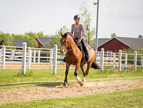 Reiten im Reitercamp | Bild 110
