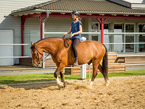 Reiten im Reitercamp | Bild 111