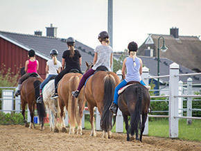 Reiten im Reitercamp | Bild 113