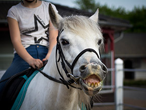 Reiten im Reitercamp | Bild 116