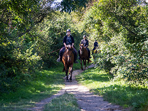 Reiten im Reitercamp | Bild 119
