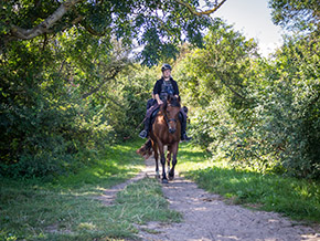 Reiten im Reitercamp | Bild 120
