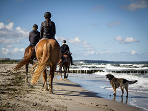 Reiten im Reitercamp | Bild 121