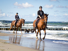 Reiten im Reitercamp | Bild 122
