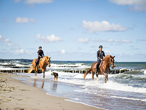 Reiten im Reitercamp | Bild 123