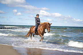 Reiten im Reitercamp | Bild 124