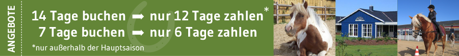 Angebote