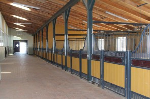 Thumb 23.jpg - Unsere Reitanlage