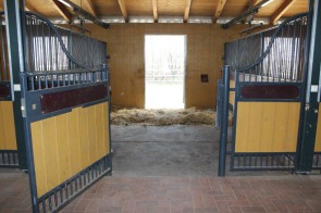 Thumb 24.jpg - Unsere Reitanlage