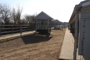 Thumb 25.jpg - Unsere Reitanlage