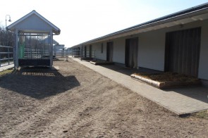 Thumb 26.jpg - Unsere Reitanlage