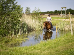 Thumb _mg_5198 - Unsere Reitanlage
