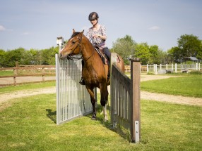 Thumb _mg_5236 - Unsere Reitanlage