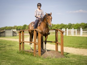 Thumb _mg_5247 - Unsere Reitanlage