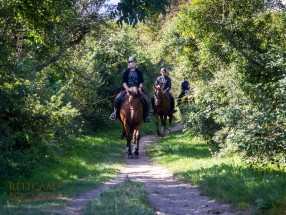 Thumb _mg_6668 - Unsere Reitanlage