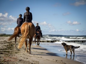 Thumb _mg_6700 - Unsere Reitanlage