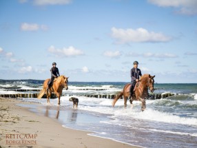 Thumb _mg_6718 - Unsere Reitanlage