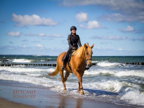 Thumb _mg_6723logo - Unsere Reitanlage