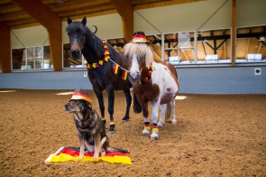 Thumb _mg_7617 - Unsere Reitanlage